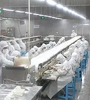 Food Processing Light